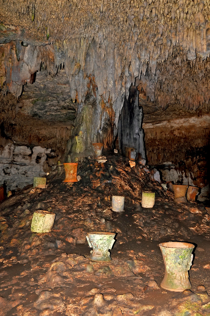 First bats origin: What is the proven truth?