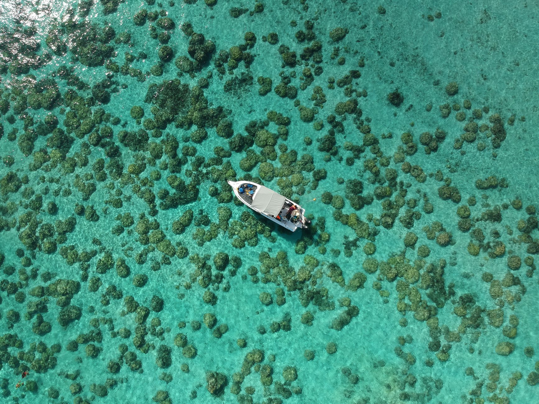Is the Coral Island update the best gaming news yet?