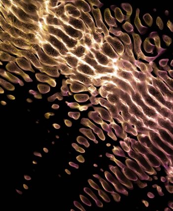 FLUX 3 Image Klein