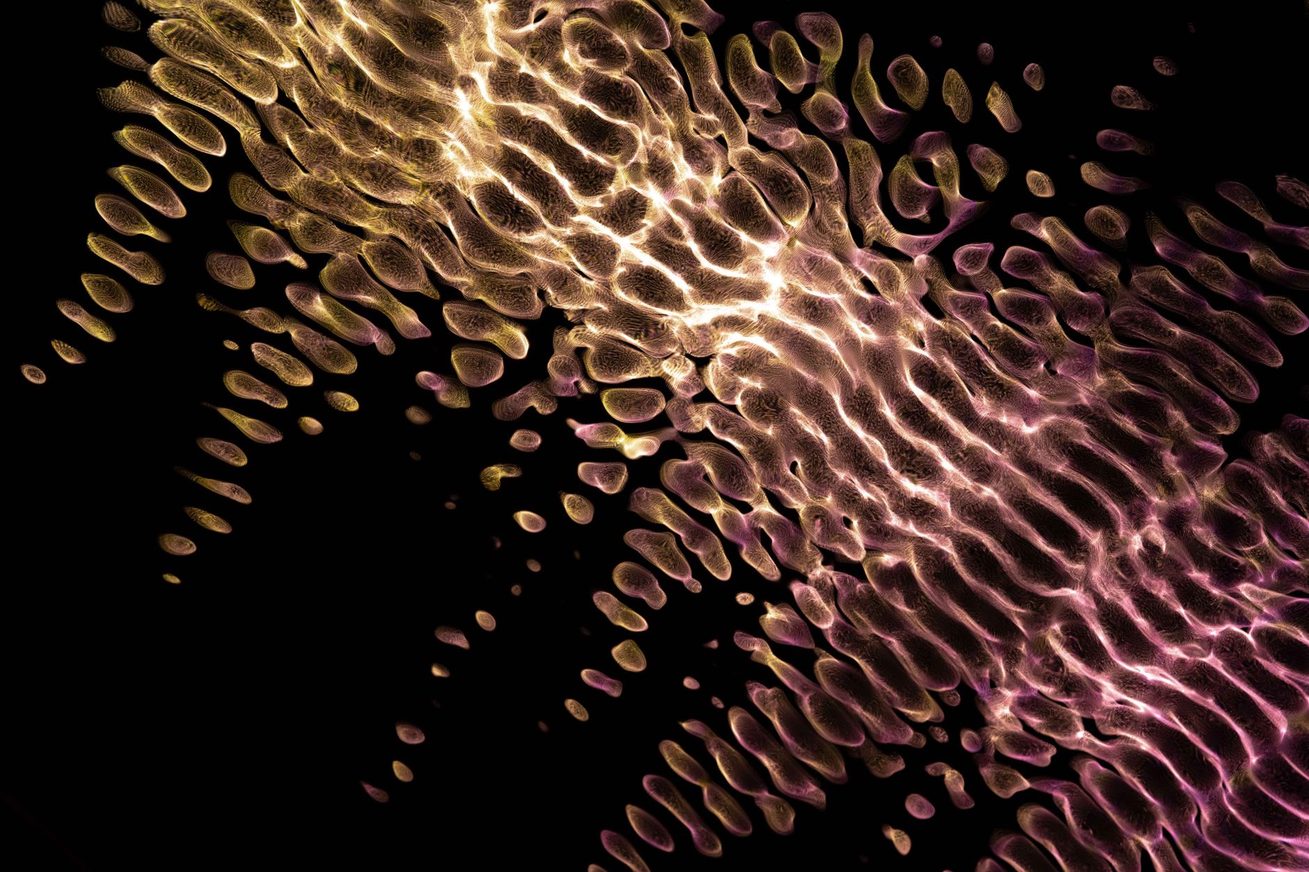 FLUX 3 Image Klein: The Best Proven AI Model Released