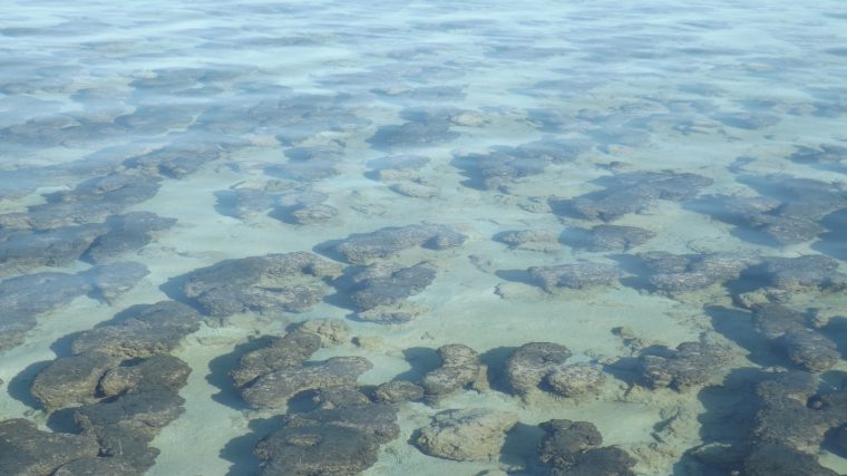oldest thing on Earth