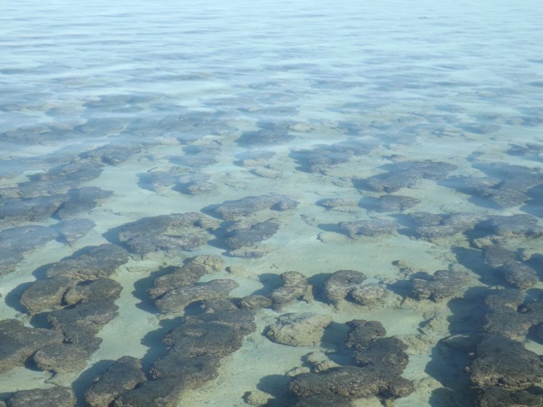 oldest thing on Earth