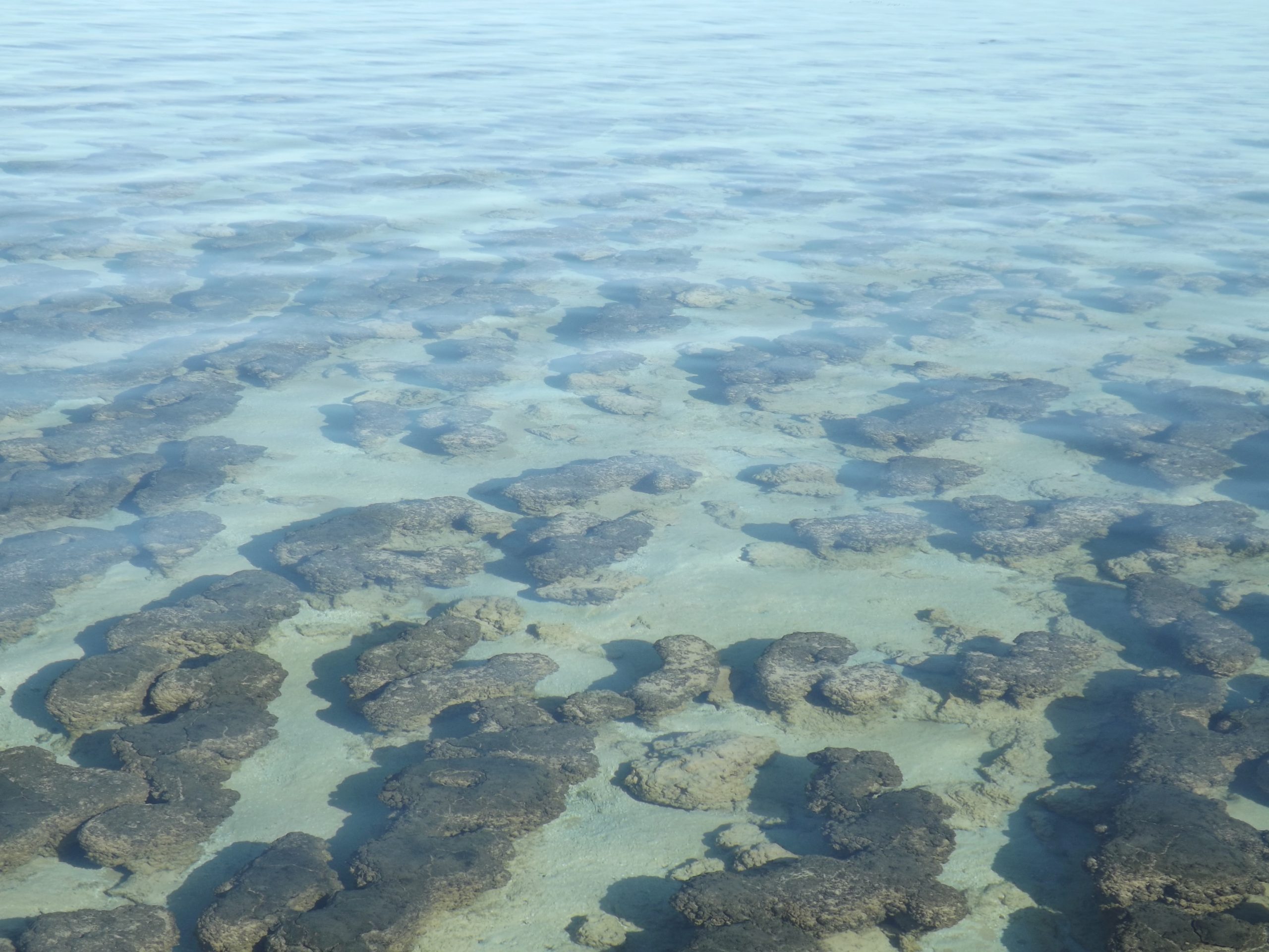 Oldest thing on Earth: Proven secrets of a 4.4 billion year relic
